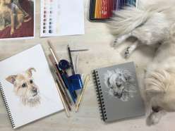 Colored Pencil Pet Portraits: 5/8/18