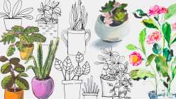 Mixtape: 5 Ways to Paint a Houseplant