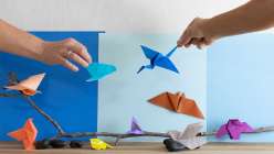 Origami Safari: A Daily Practice
