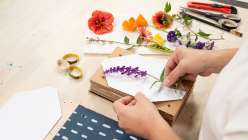 Flowers being laid on blotter paper in an upcycled flower press, made in Cobrina's class on Creativebug.