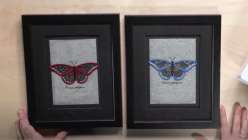 Ep 14 - Butterfly Shadowbox