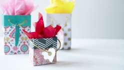 Cricut Crafts: DIY Gift Bags