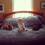 katgmailcom-10729