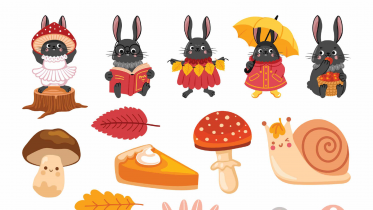 DIY Stickers
