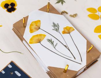 Make an Upcycled Flower Press