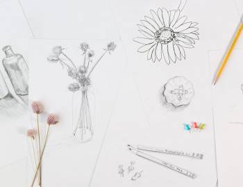 Daily Drawing Challenge: 29 Things to Draw with Molly Hatch and Heather Ross